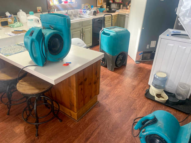 Best Commercial water damage restoration  in Riverdale, NJ