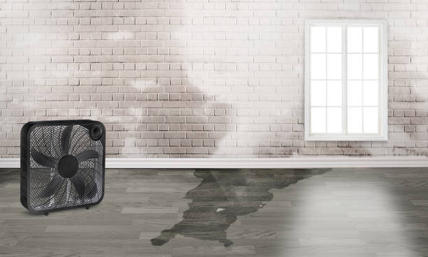 Best Water damage contractors near me  in Riverdale, NJ